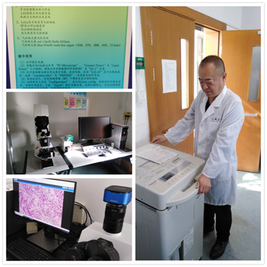 fb475283cb1c4074ad3f936ae06388bd.png 7777.png