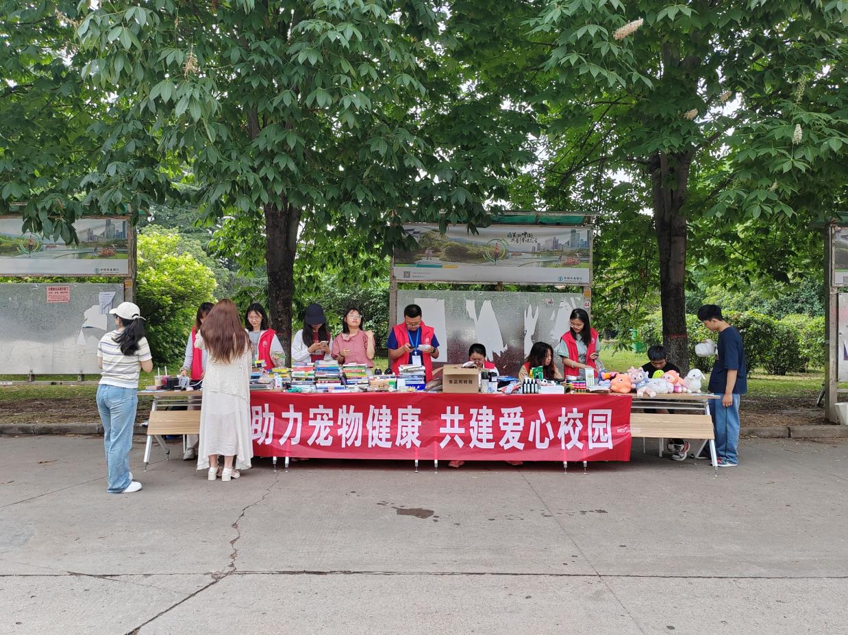 图示, 示意图 中度可信度描述已自动生成:ver1