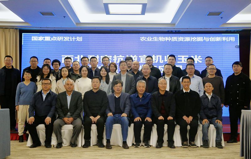 国家重点研发计划“西北耐密抗逆宜机收玉米新种质创制与应用”2025年工作部署会.jpg