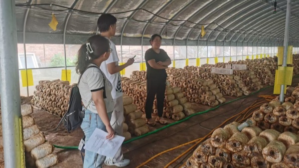 图1 团队与村民进行交流对话.jpg