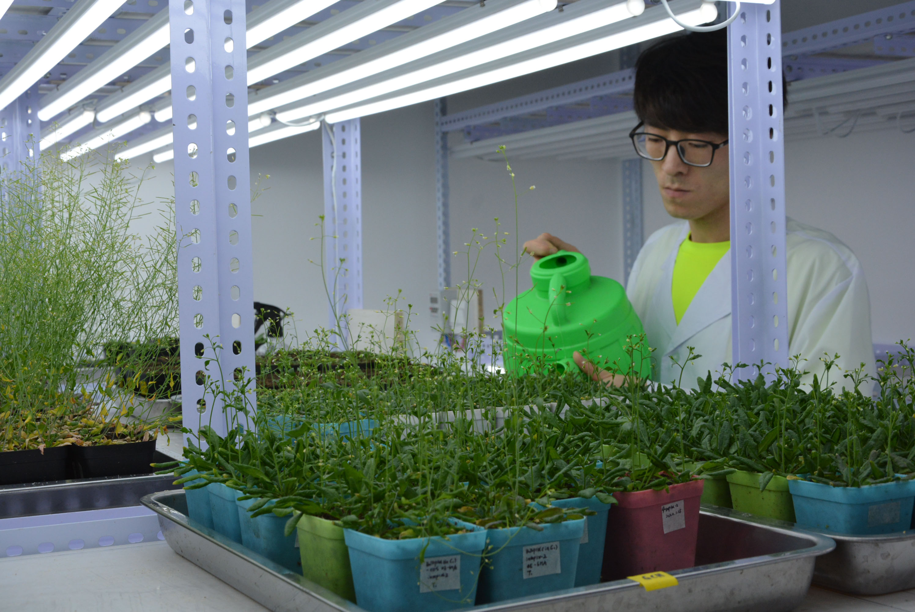 7ce452d3bfae44ce85c0cc745c485905.jpg 7ce452d3bfae44ce85c0cc745c485905.jpg