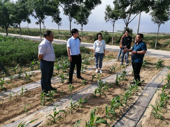 037b3d1ae05d4040a8e5378fef6a96ba.jpg IMG_20200525_160309.jpg