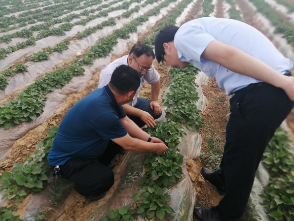 4ca2aeb0c1644fd6bf9826bdfe98b451.jpg IMG_20200525_162429.jpg