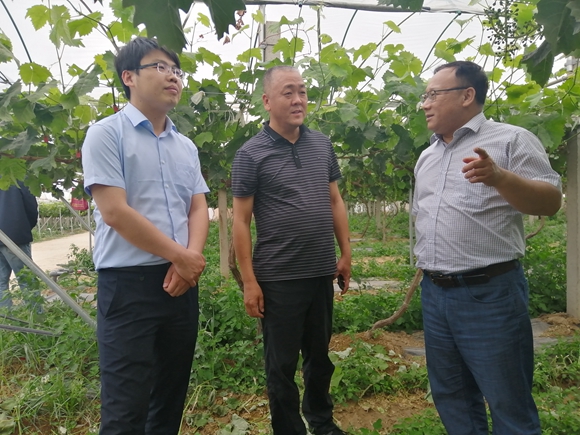 5ada2fc82b6543dea7f104208f279e9b.jpg IMG_20200525_165551.jpg