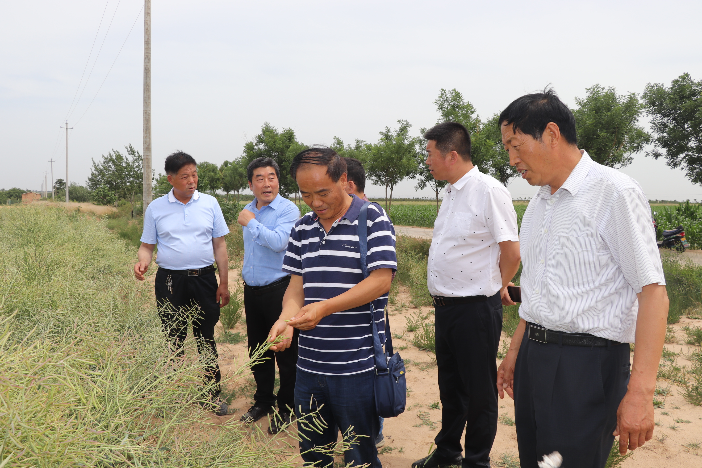 dcd104bdebe4483a9338878f976e7af7.jpg dcd104bdebe4483a9338878f976e7af7.jpg