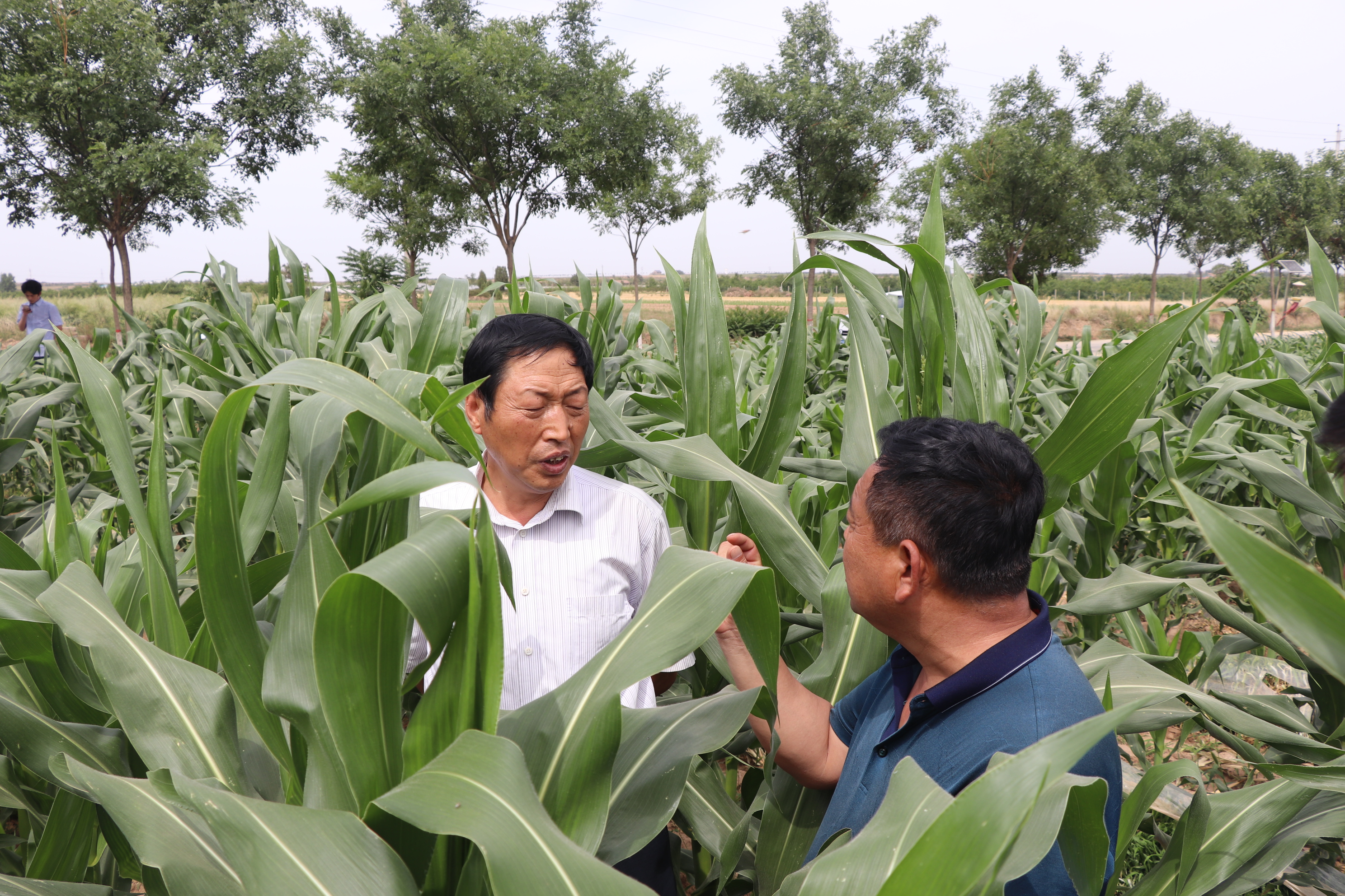 e3992c5c95c5411f87a0da7db01ba53e.jpg e3992c5c95c5411f87a0da7db01ba53e.jpg