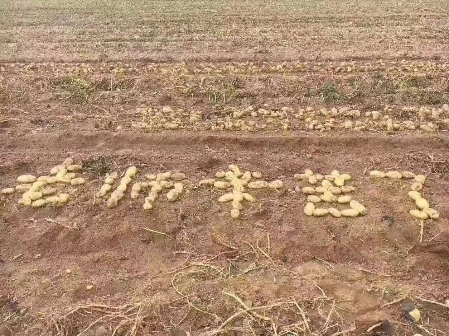 d4fa4bab3c184806854f2ed0637037e3.jpg d4fa4bab3c184806854f2ed0637037e3.jpg