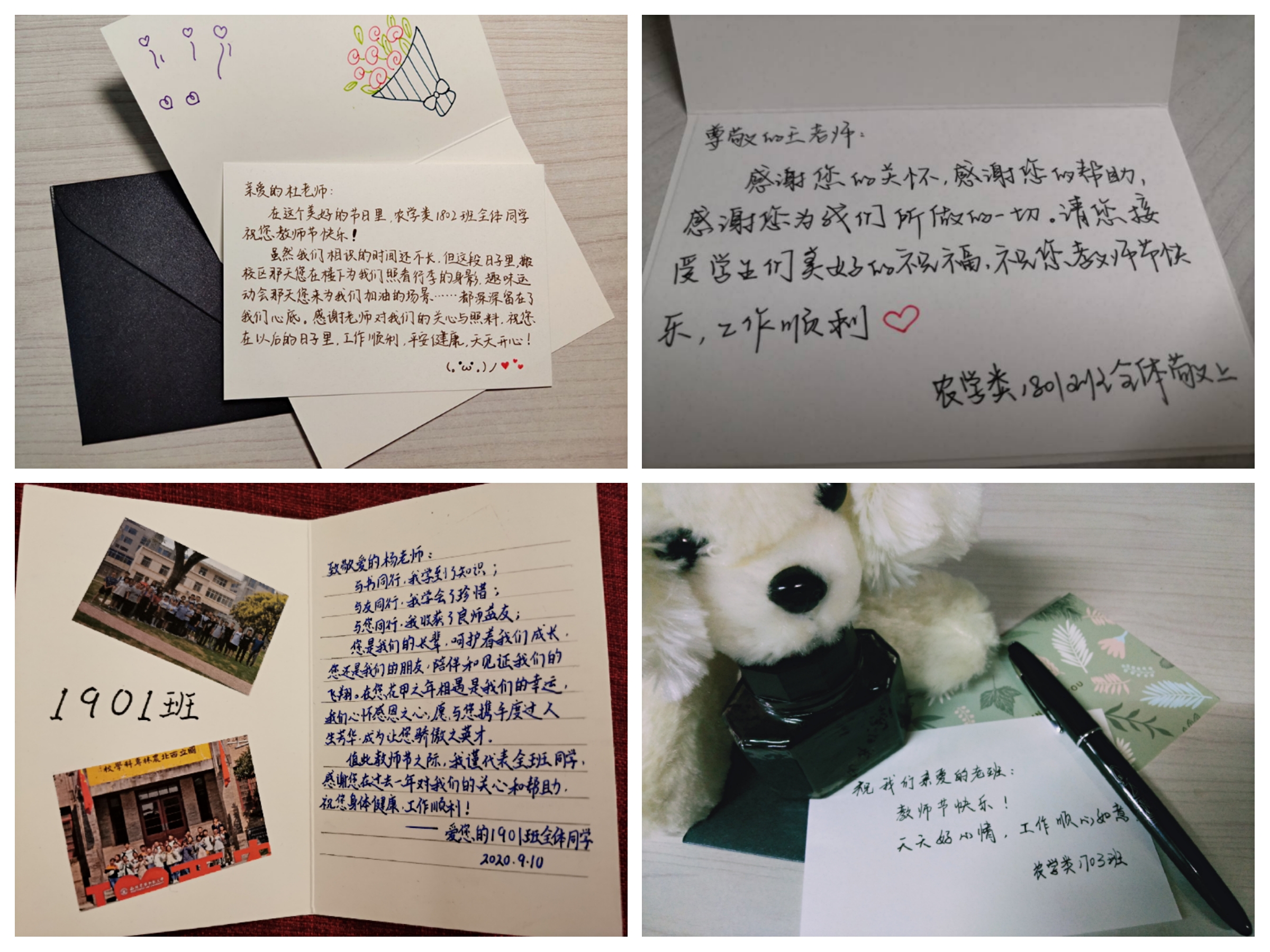 dedf7b50955a4c61bda3cf07b803b459.jpg dedf7b50955a4c61bda3cf07b803b459.jpg