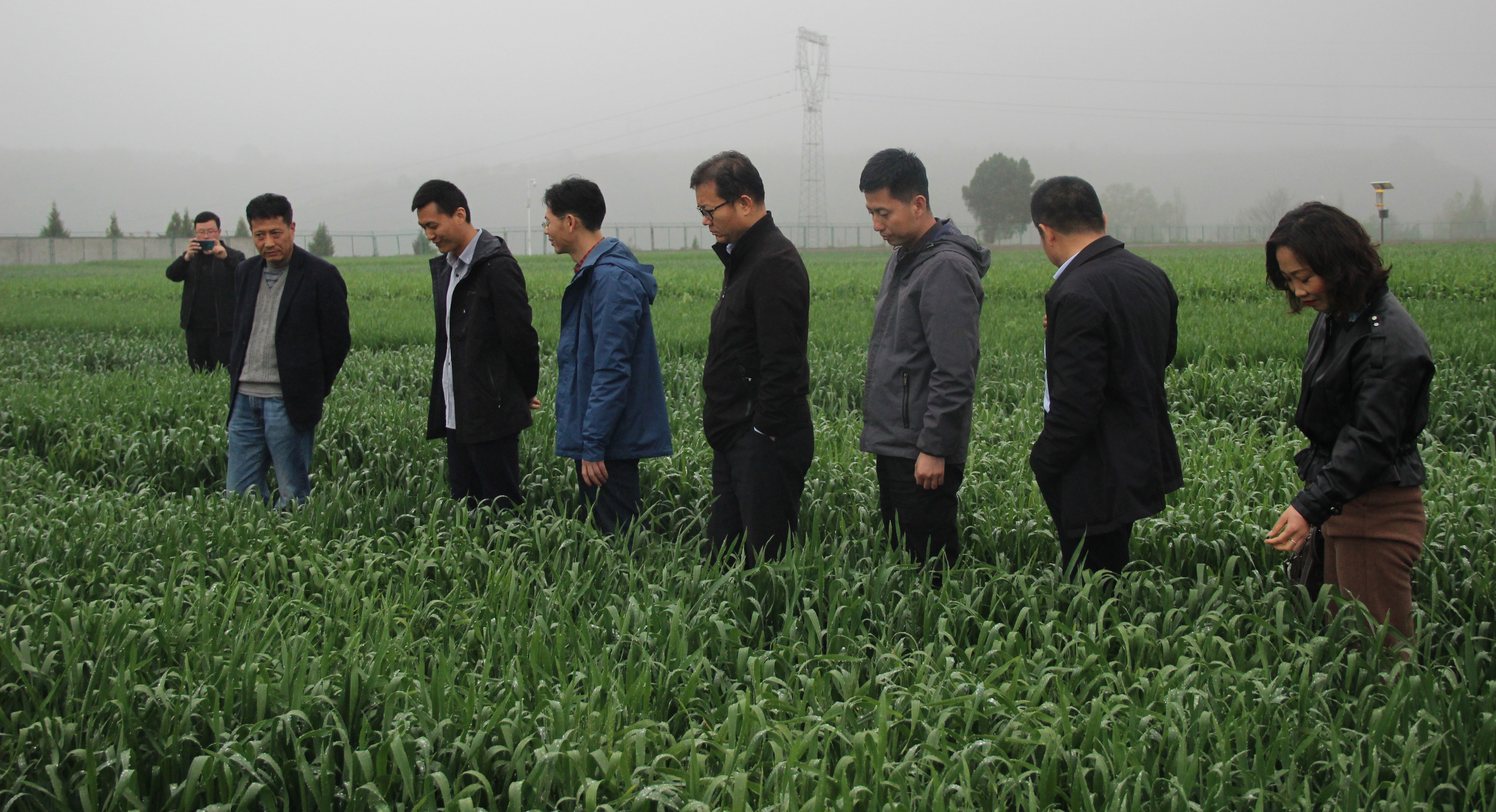 1c441030871e4ba3946d5284fb49b5fd.jpg 1c441030871e4ba3946d5284fb49b5fd.jpg