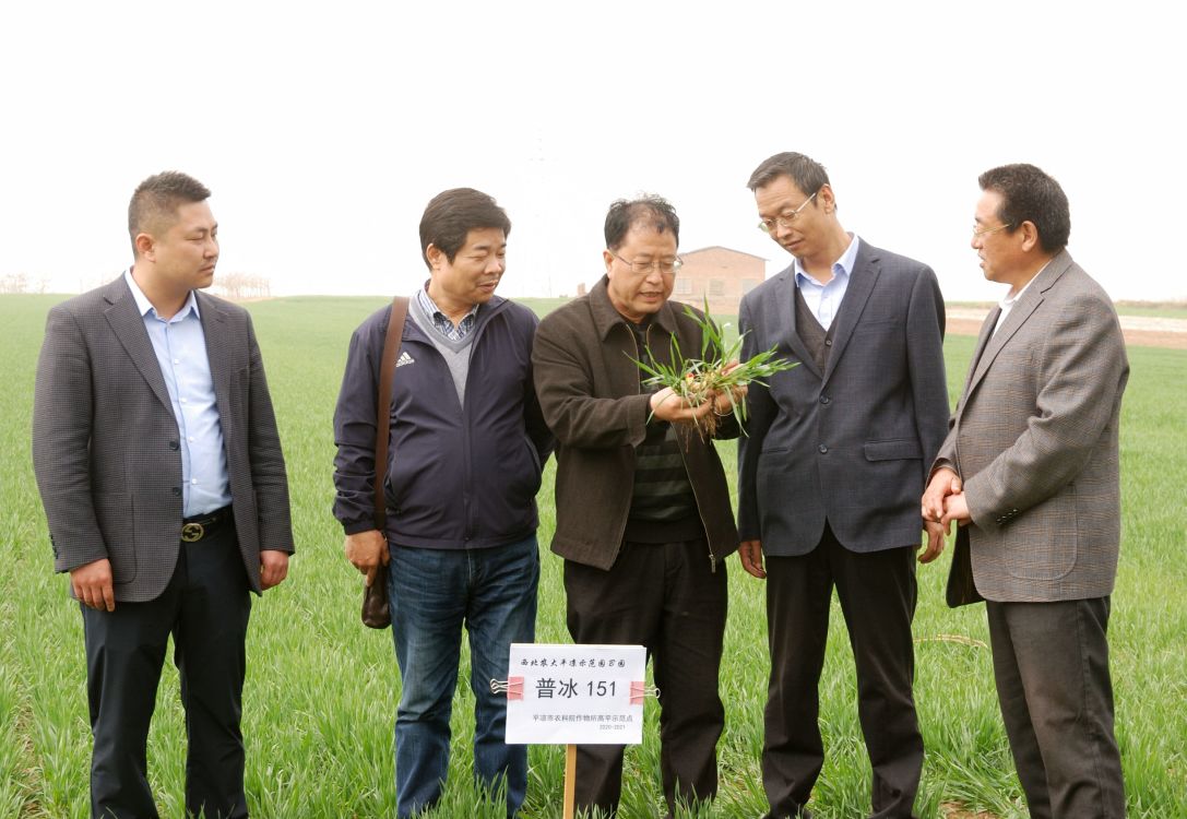 c277d612609d4c39987834ee084479ab.jpg c277d612609d4c39987834ee084479ab.jpg