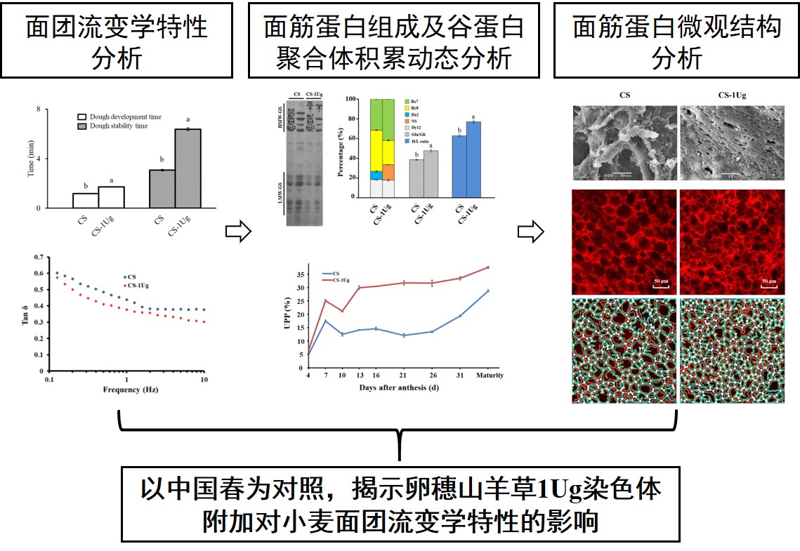 a25ce9986a8c4a9ab8568466459369e3.jpg 新闻稿图.jpg