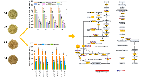 15e38c2c49c04840a986b9033df54252.png image.png