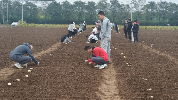 962086b5792641fcbcba54ac274a3ffd.jpg 种地.jpg