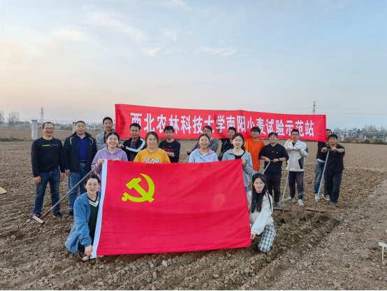 8e13519f5d6845b686f0c575737cba2e.png image.png