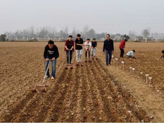 a7479614013044c092799deaefbacac5.png image.png