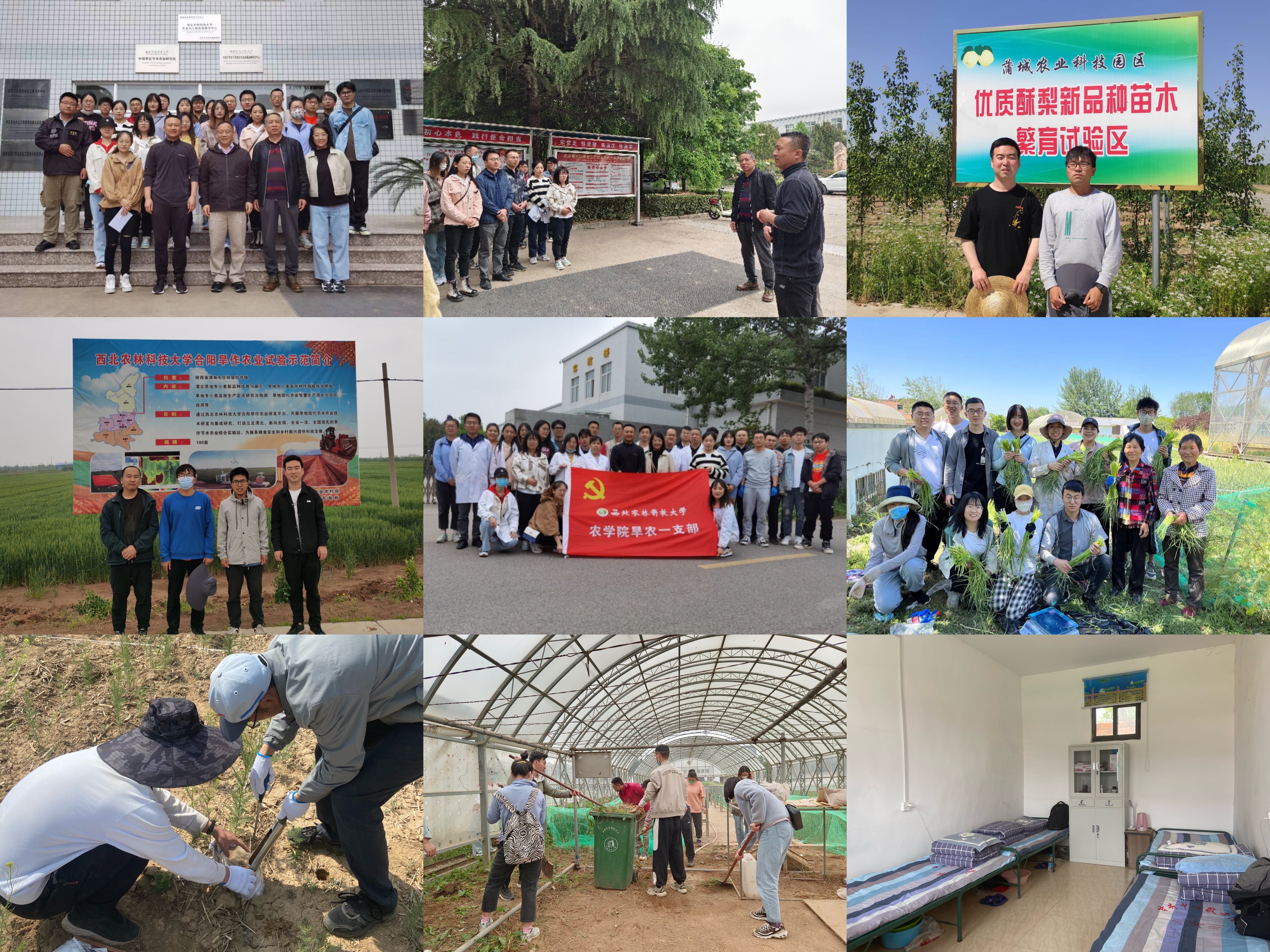 6012e034710a49dcab690d4398284332.jpg 6012e034710a49dcab690d4398284332.jpg