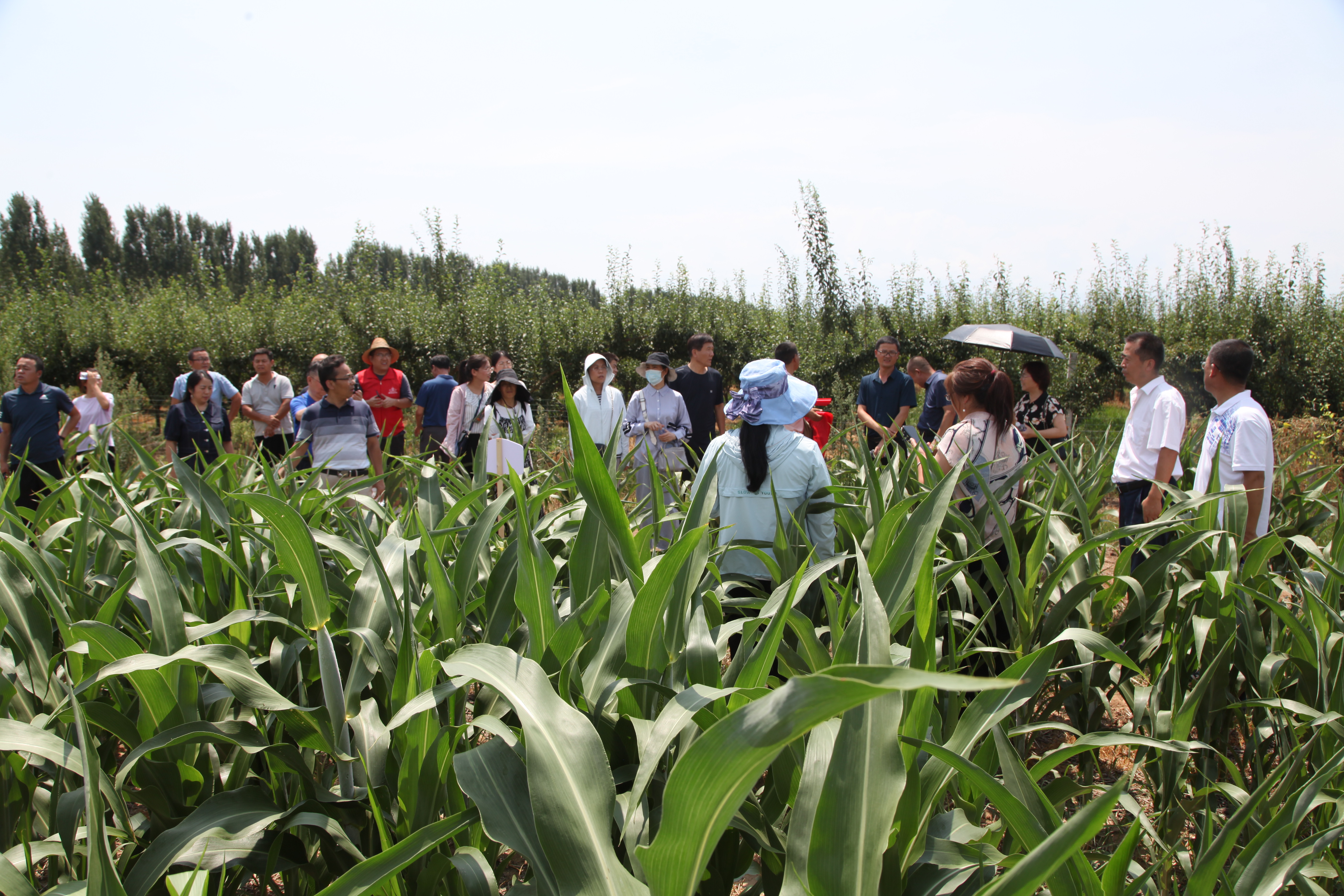 03c38bb0f4664e49a3838c5af627fc1e.jpg 03c38bb0f4664e49a3838c5af627fc1e.jpg