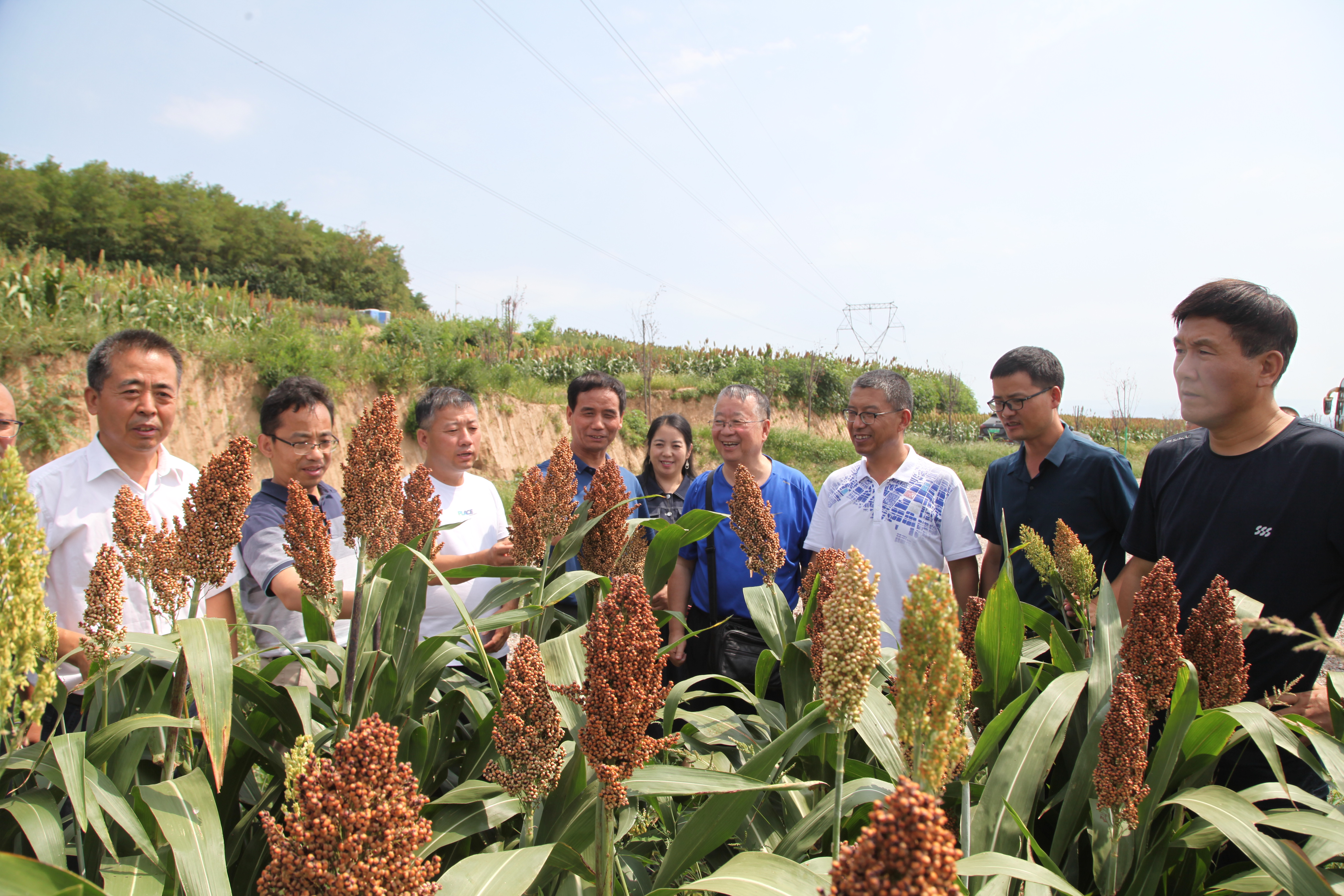 2431f40c4726493c87ebb9e2888a2ae0.jpg 2431f40c4726493c87ebb9e2888a2ae0.jpg