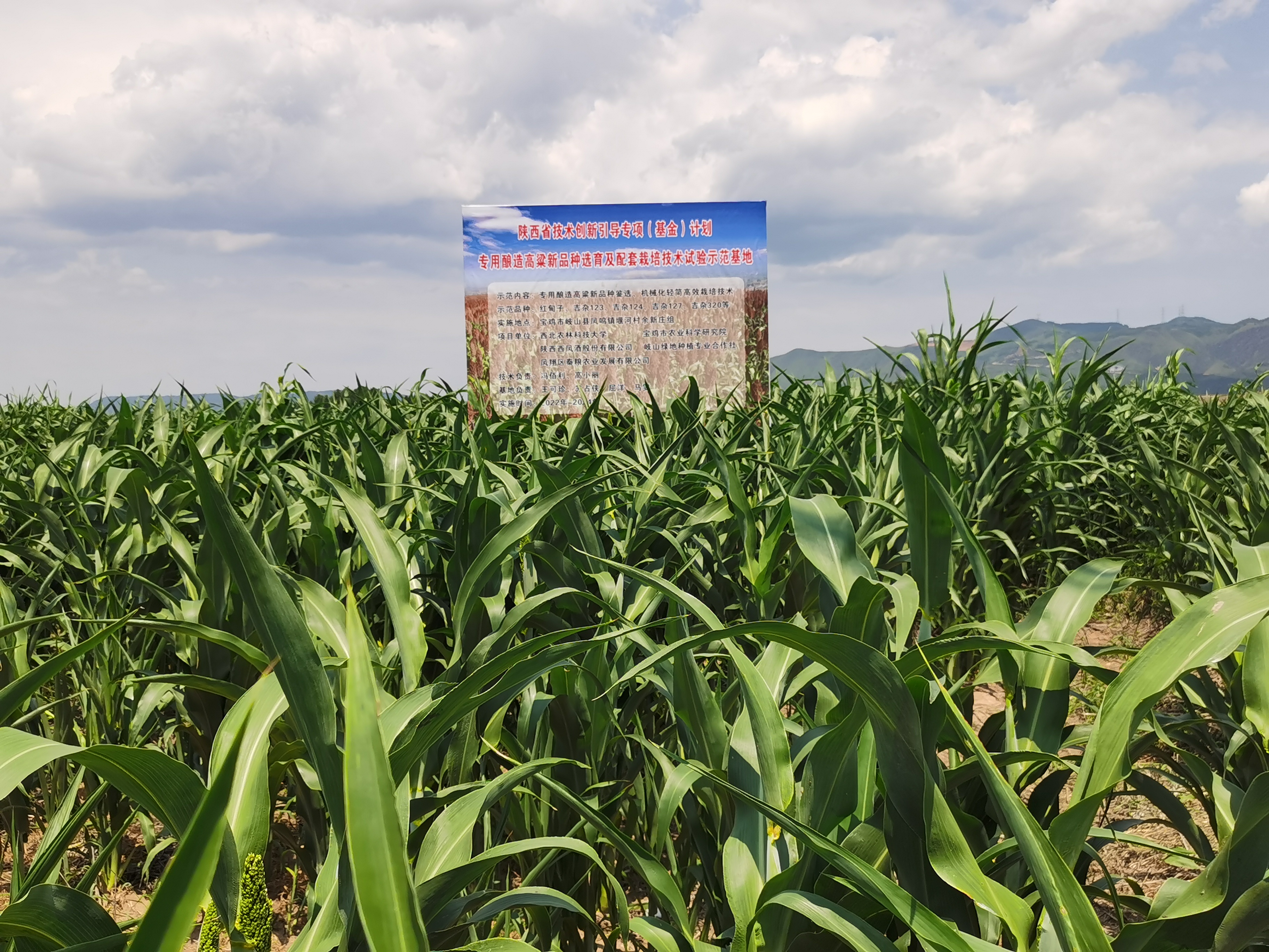 f39b4137b0824079865e3044c70f8f04.jpg f39b4137b0824079865e3044c70f8f04.jpg