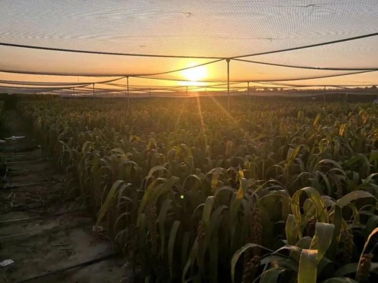 03981486dcd346e4ba5d5c50624cb17a.png 03981486dcd346e4ba5d5c50624cb17a.png