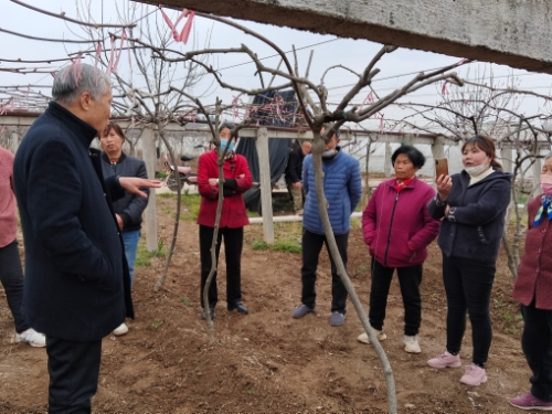 86795940c27e4c3686615fdcacab8f88.jpg MTXX_MH20230319_214041494.jpg