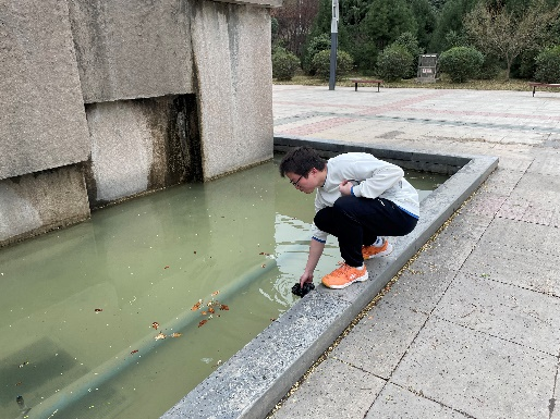 d109210ac80c48679945a6b5e366c29c.png d109210ac80c48679945a6b5e366c29c.png