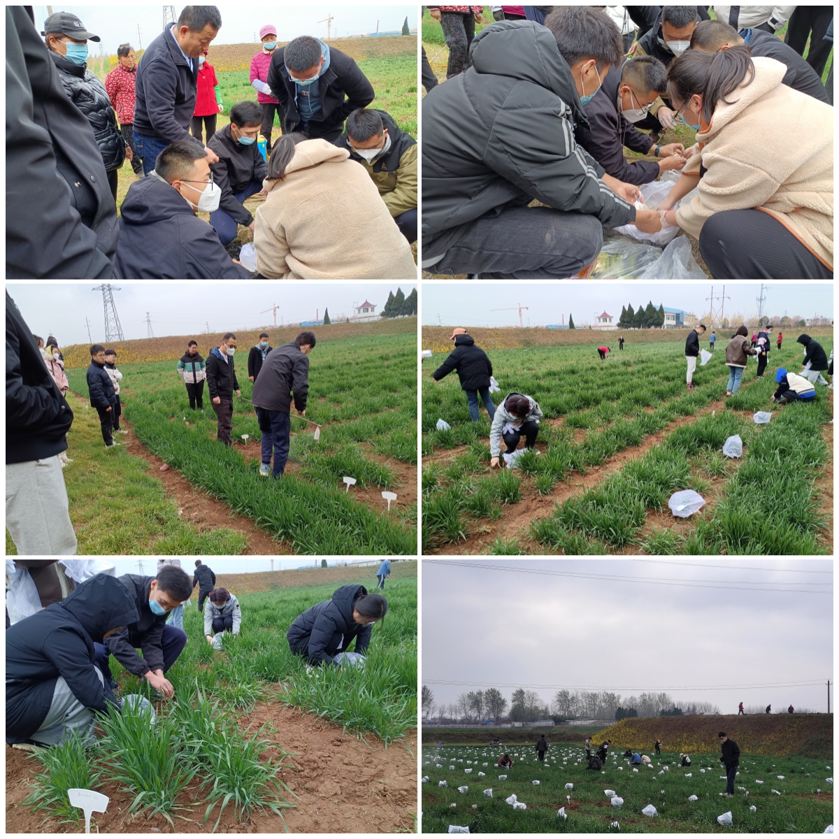 fc672ec502fd462cbfadd1becd7d68bf.jpg fc672ec502fd462cbfadd1becd7d68bf.jpg