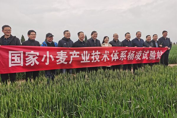 205739346f1240c6bf87abf158f1c1d9.jpg 刘录祥调2_副本.jpg