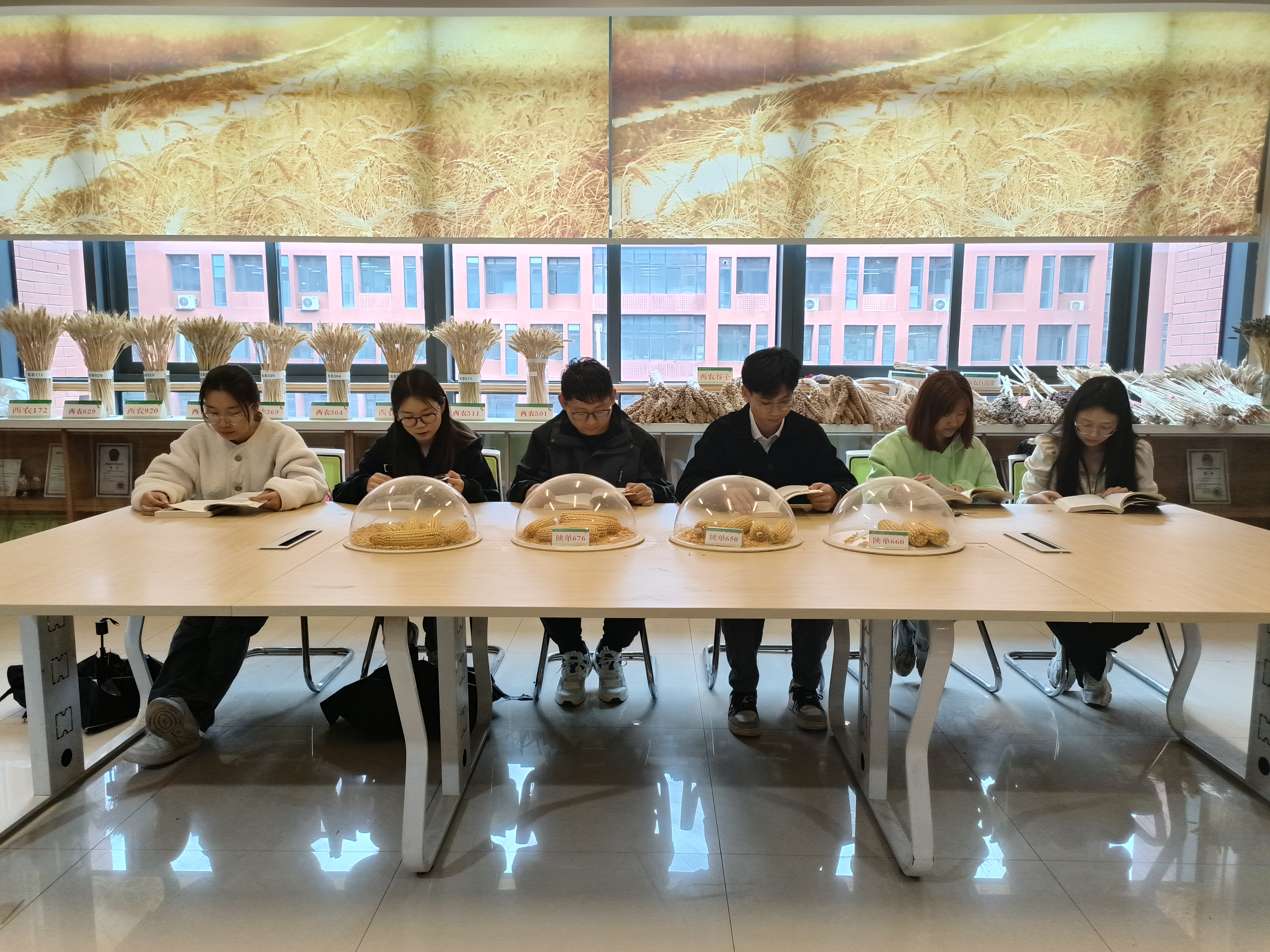 4f444887cecd497d8956ec9e94fae72e.jpg 4f444887cecd497d8956ec9e94fae72e.jpg