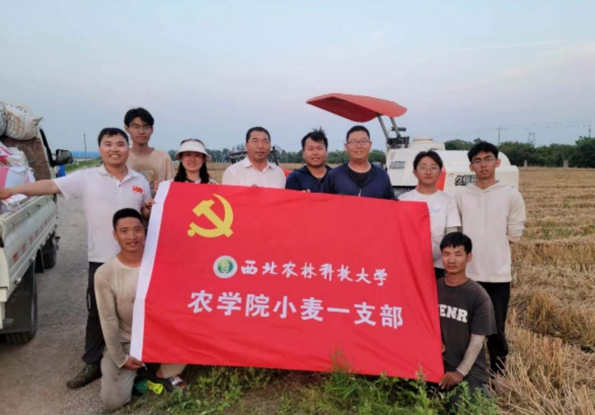 f5215bf72e4242d99bde8a6843a0d71e.png f5215bf72e4242d99bde8a6843a0d71e.png