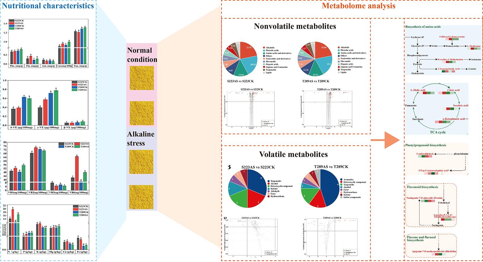 f660f02d9f4a493493c89c794e755c91.jpg f660f02d9f4a493493c89c794e755c91.jpg